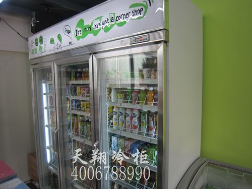 冰柜品牌,冷藏保鲜柜,立式冰柜