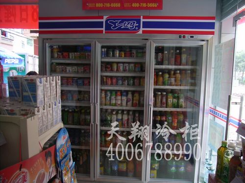 深圳便利店冷柜,便利店展示冰柜,饮料柜价格,深圳冰柜