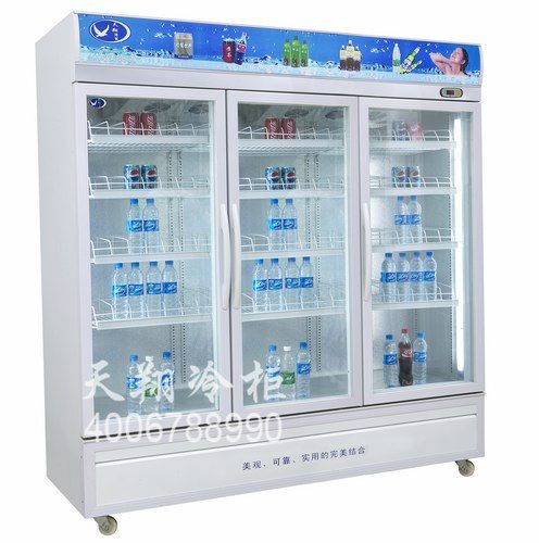 冰柜保养,冰柜尺寸,冰柜价格,冰柜公司